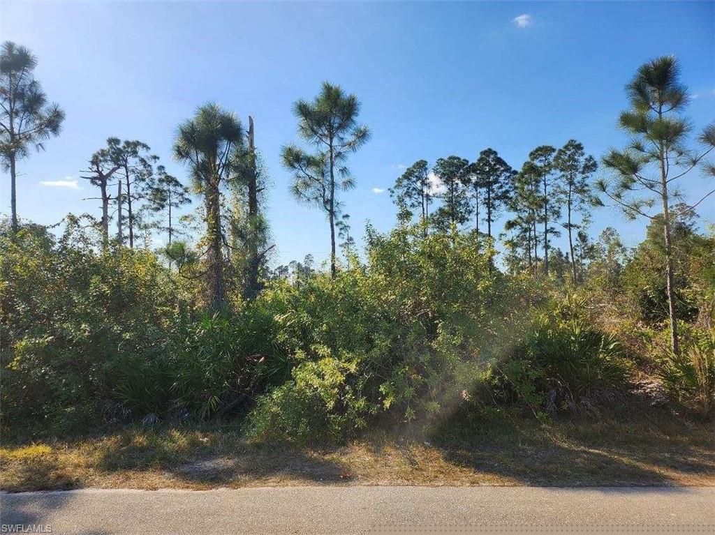 1059 Fayette AVE, LEHIGH ACRES, FL 33974 — photo 4