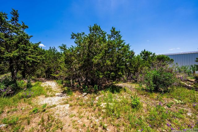 1216 LAKEBREEZE DR, Canyon Lake, TX 78133