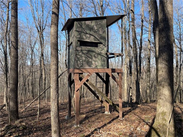 970 Madison 4451, St Paul, AR 72760