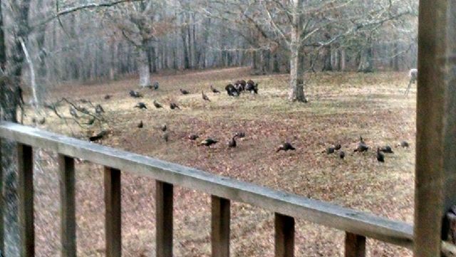 970 Madison 4451, St Paul, AR 72760