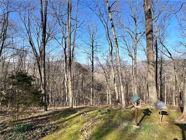 970 Madison 4451, St Paul, AR 72760