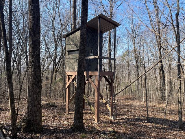 970 Madison 4451, St Paul, AR 72760