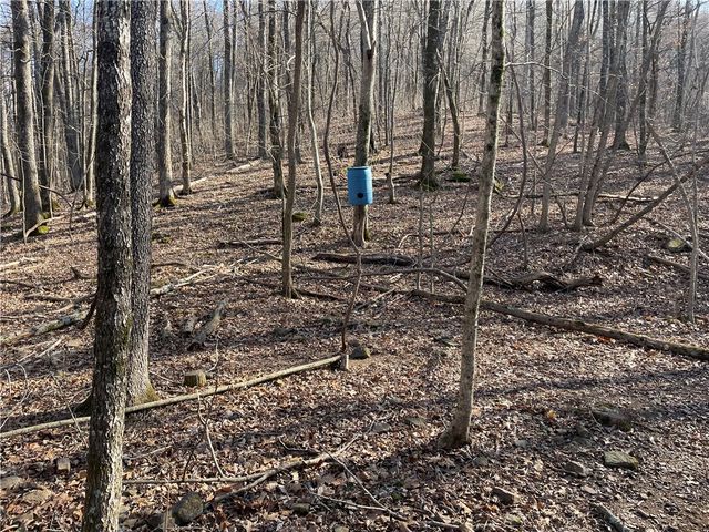 970 Madison 4451, St Paul, AR 72760