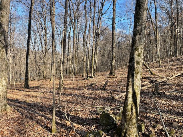 970 Madison 4451, St Paul, AR 72760