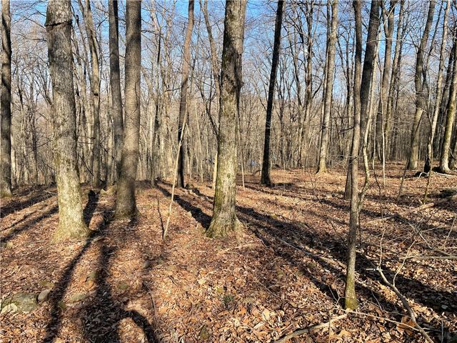 970 Madison 4451, St Paul, AR 72760