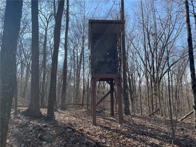 970 Madison 4451, St Paul, AR 72760