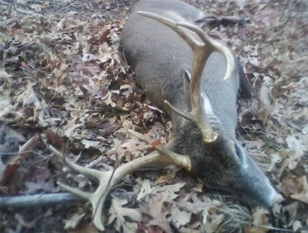 970 Madison 4451, St Paul, AR 72760