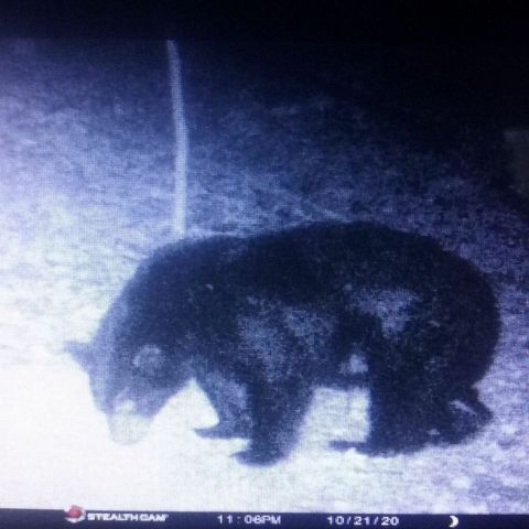 970 Madison 4451, St Paul, AR 72760