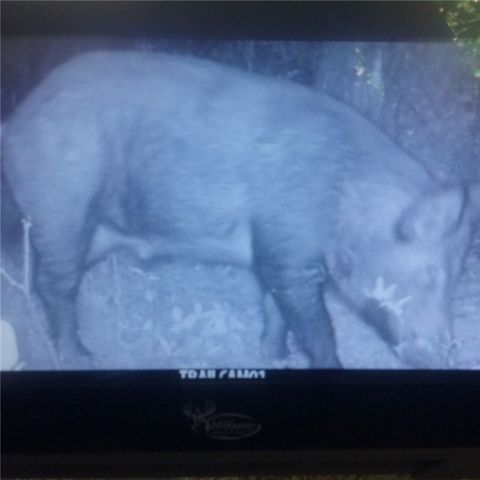 970 Madison 4451, St Paul, AR 72760