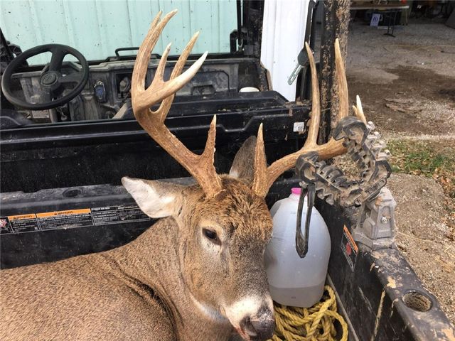 970 Madison 4451, St Paul, AR 72760