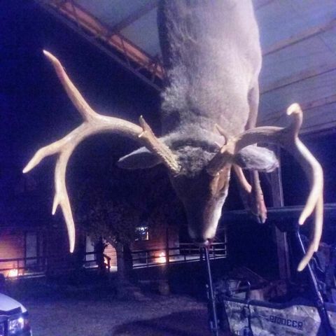 970 Madison 4451, St Paul, AR 72760