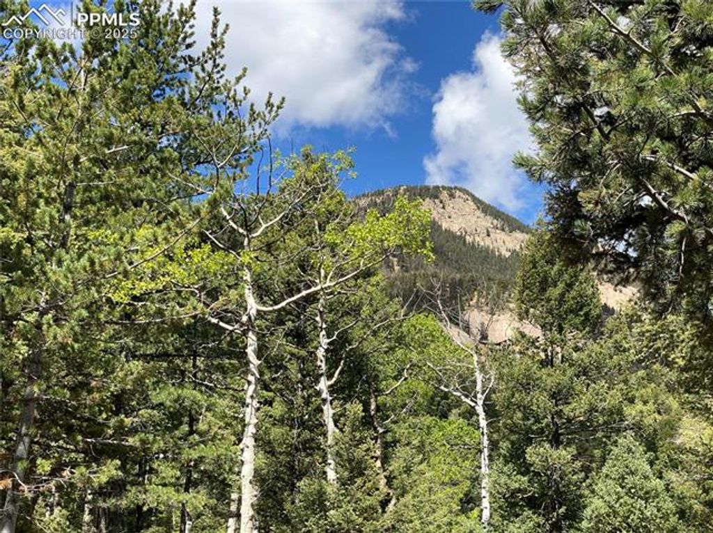 210 Waterfall Loop, Manitou Springs, CO 80829 — photo 2