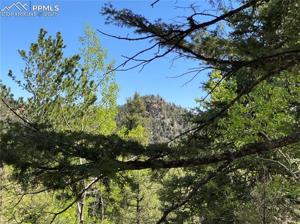 210 Waterfall Loop, Manitou Springs, CO 80829 — photo 3