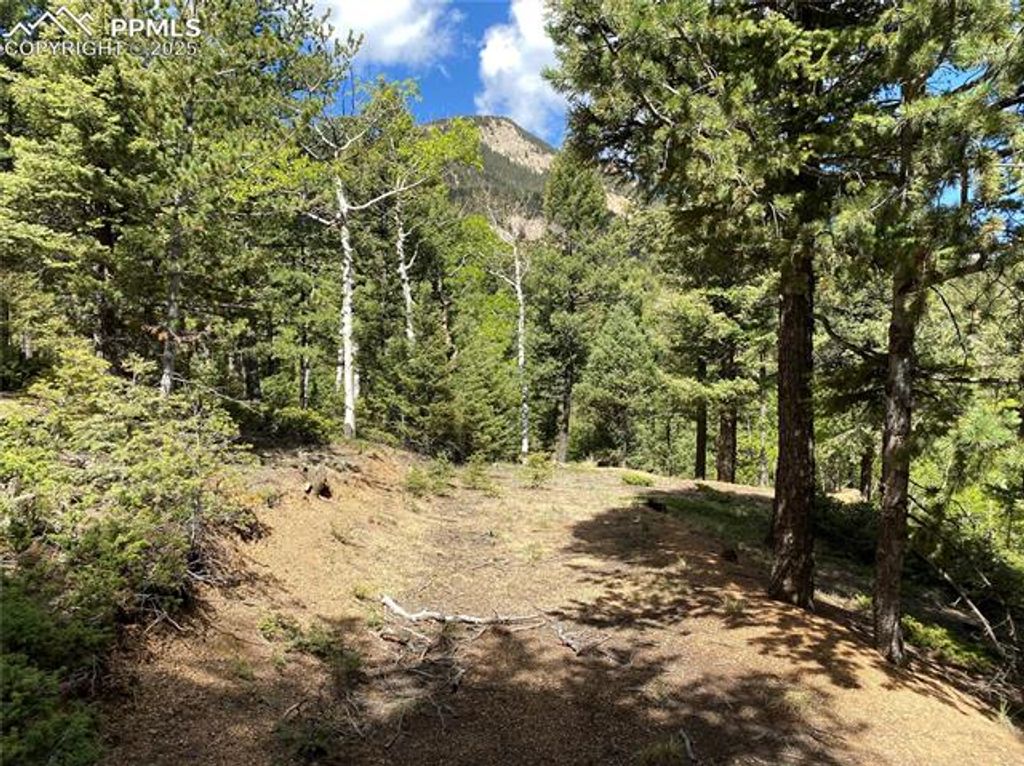 210 Waterfall Loop, Manitou Springs, CO 80829 — photo 4