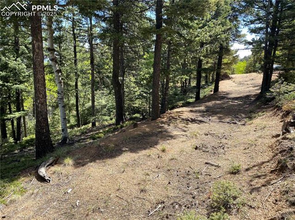 210 Waterfall Loop, Manitou Springs, CO 80829 — photo 5