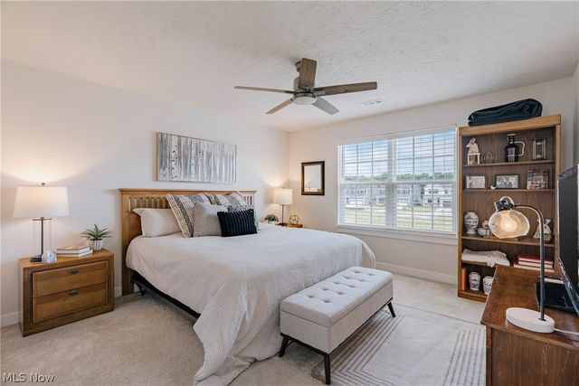 23558 Daisey Drive, Columbia Station, OH 44028