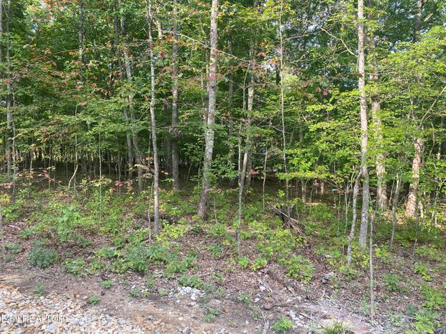 233 Albemarle Circle, Fairfield Glade, TN 38558