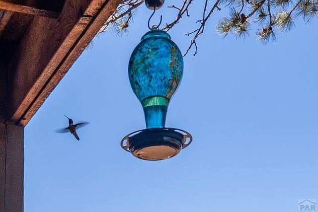 24401 County Rd 44, Aguilar, CO 81020