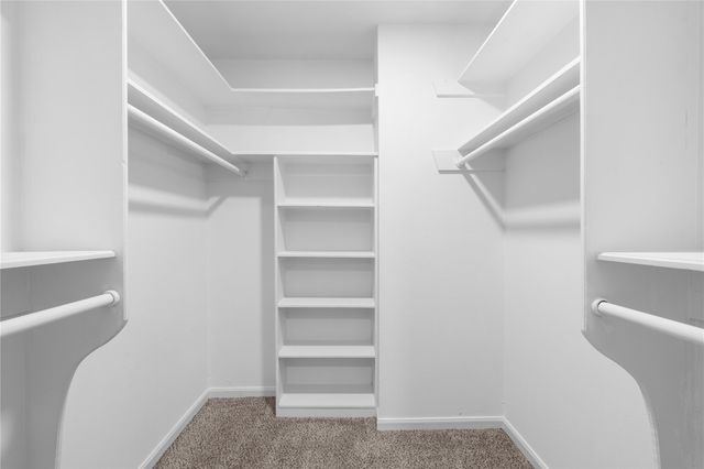 1006 Glouchester Lane, Houston, TX 77073