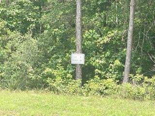 00000 Lonestar Road, Huntsville, TX 77340