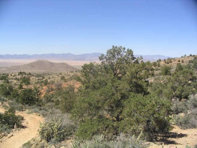 58 Peacock Ranch, Kingman, AZ 86401