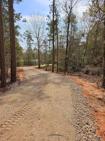 105 Saddle Surrey Road, Coldspring, TX 77331