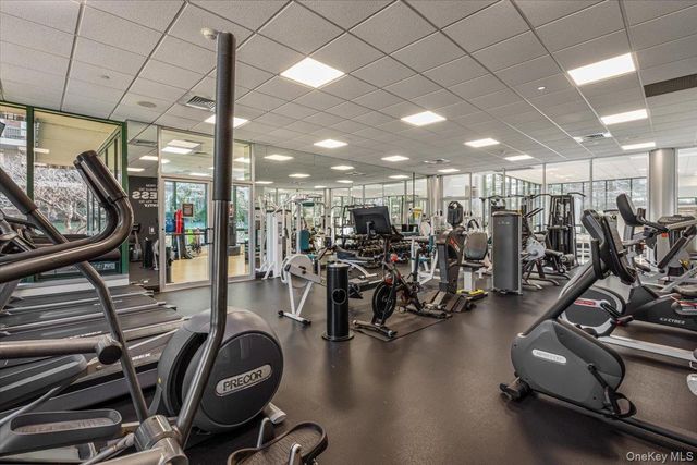 100 Hilton Avenue 417, Garden City, NY 11530