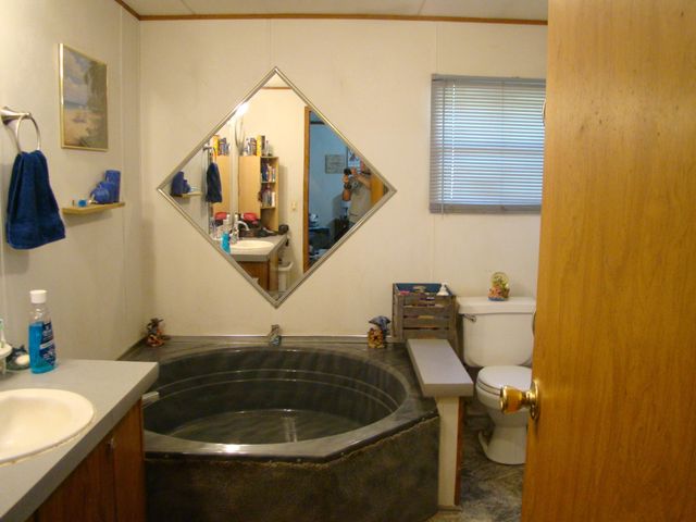 107 Summitt Ridge, Blue Ridge, VA 24064