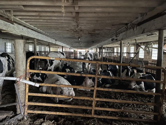 W2873 Buol ROAD, West Salem, WI 54669