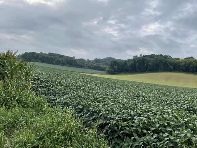 W2873 Buol ROAD, West Salem, WI 54669