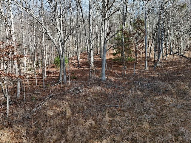 Lot 1 Jordan Road, Blairsville, GA 30512