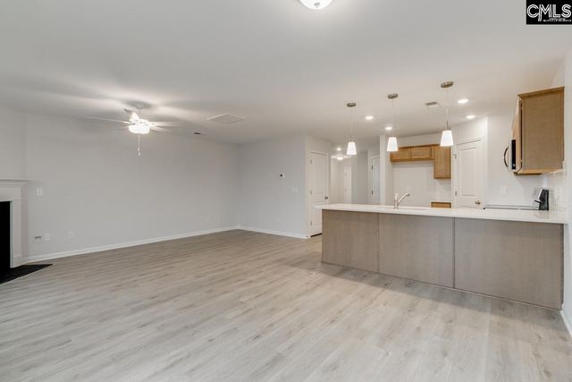 1116 Crescent Corner Drive, Elgin, SC 29045