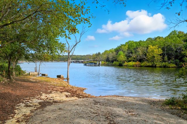 19 Nellie Lane, Lampe, MO 65681