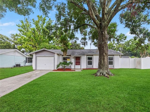 22630 NEWFIELD COURT, Land O Lakes, FL 34639