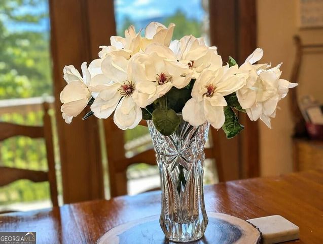 270 Black Bear Ridge Road, Ellijay, GA 30536