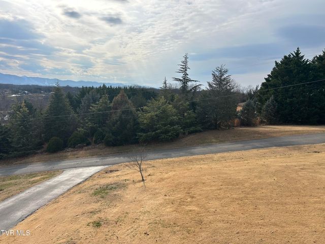 1130 Hixson Avenue, Greeneville, TN 37743