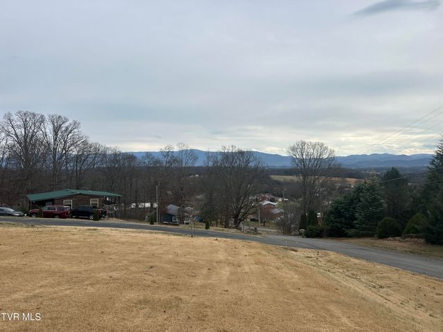 1130 Hixson Avenue, Greeneville, TN 37743