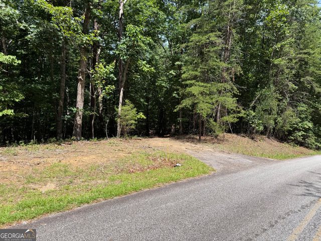 7 Ivy Hills Drive, Cleveland, GA 30528