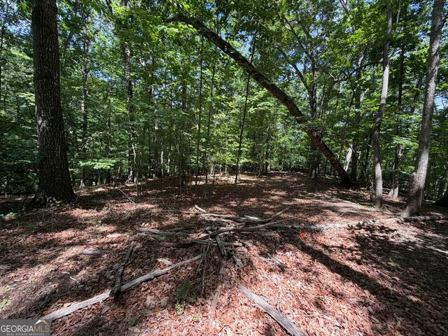 7 Ivy Hills Drive, Cleveland, GA 30528