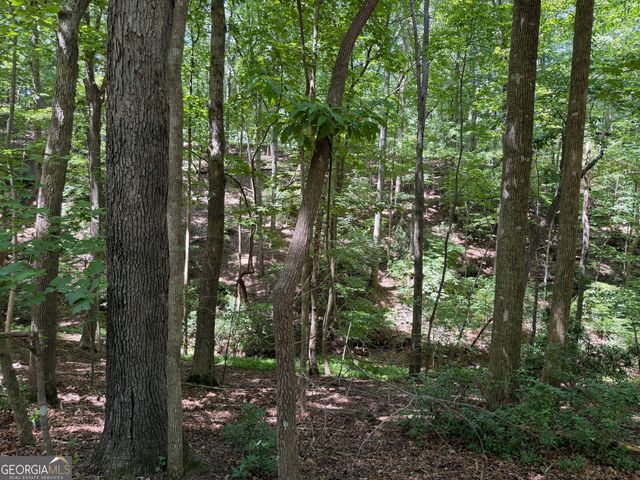 7 Ivy Hills Drive, Cleveland, GA 30528