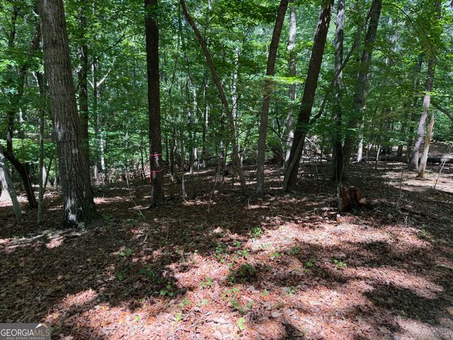 7 Ivy Hills Drive, Cleveland, GA 30528