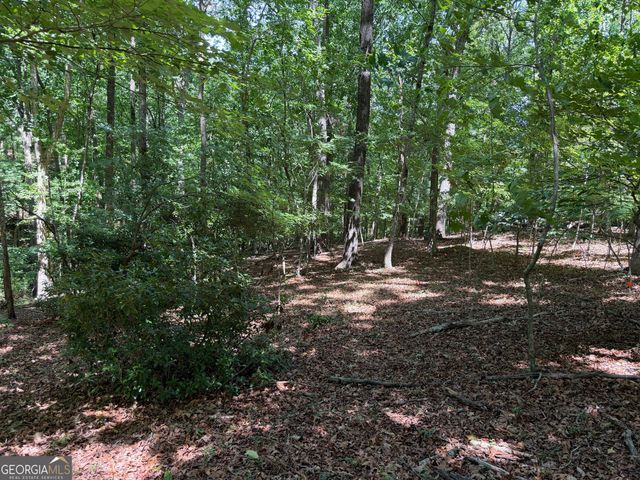 7 Ivy Hills Drive, Cleveland, GA 30528
