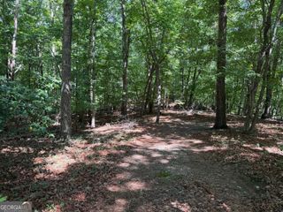 7 Ivy Hills Drive, Cleveland, GA 30528