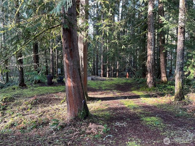 101 N Duckabush Loop W, Hoodsport, WA 98548