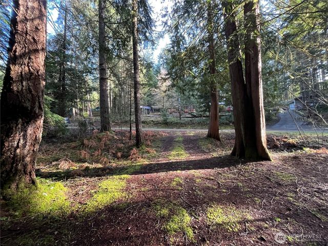 101 N Duckabush Loop W, Hoodsport, WA 98548