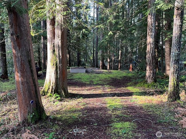 101 N Duckabush Loop W, Hoodsport, WA 98548