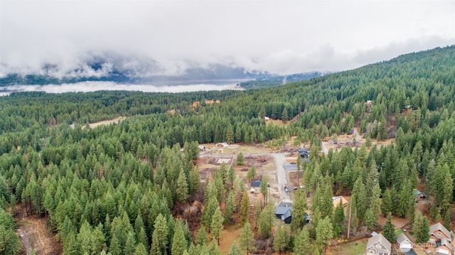 110 Bitterroot Lane, Ronald, WA 98940