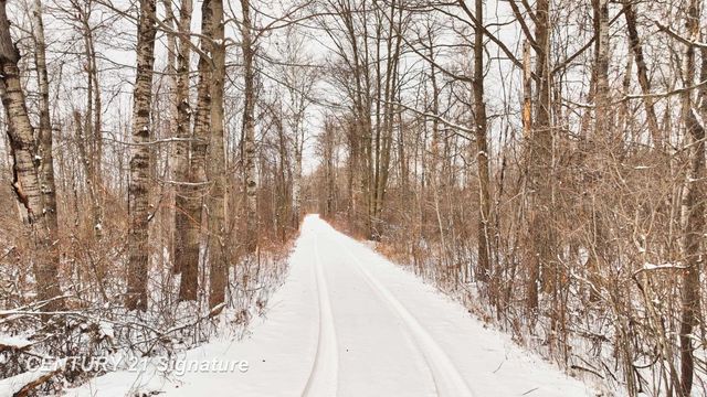 150 E Winegars Road, Hay Twp, MI 48624