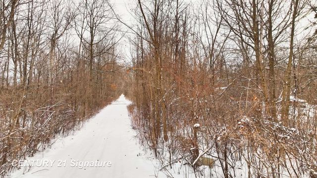 150 E Winegars Road, Hay Twp, MI 48624