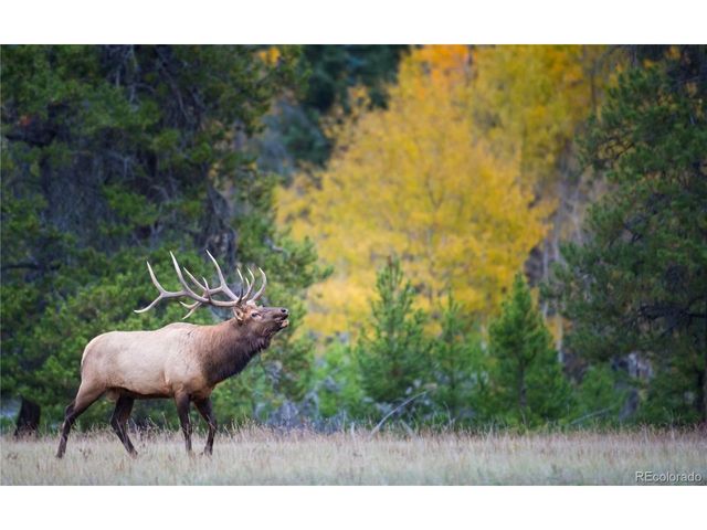 5191 S Hatch Dr, Evergreen, CO 80439